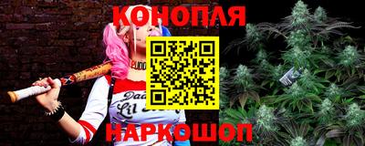 индика Будённовск