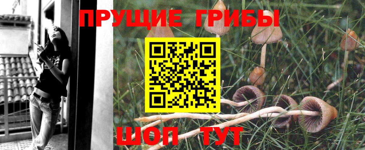 Скопин  Галлюциногенные грибы ЛСД  Вход с VPN 